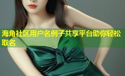 海角社区用户名例子共享平台助你轻松取名
