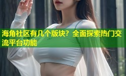 海角社区有几个版块？全面探索热门交流平台功能