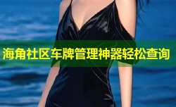 海角社区车牌管理神器轻松查询