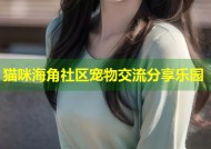 猫咪海角社区宠物交流分享乐园