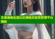 北海海角街道社区网格员智慧管理平台揭秘