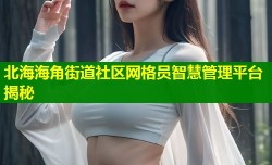 北海海角街道社区网格员智慧管理平台揭秘