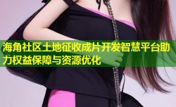 海角社区土地征收成片开发智慧平台助力权益保障与资源优化