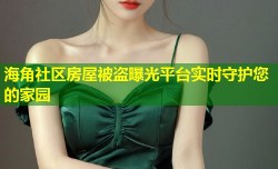 海角社区房屋被盗曝光平台实时守护您的家园