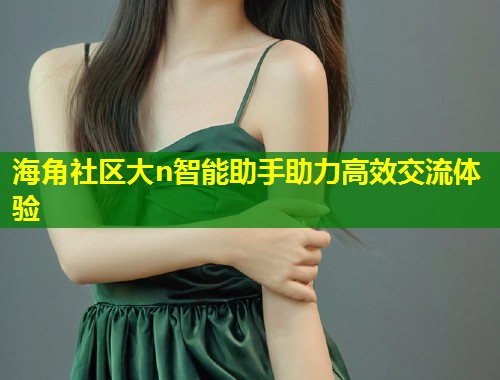 海角社区大n智能助手助力高效交流体验  第1张