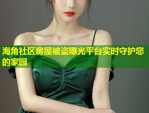海角社区房屋被盗曝光平台实时守护您的家园  第1张