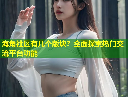 海角社区有几个版块？全面探索热门交流平台功能  第1张