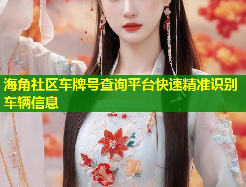 海角社区车牌号查询平台快速精准识别车辆信息  第1张