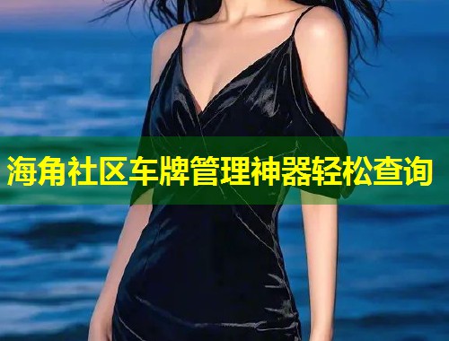 海角社区车牌管理神器轻松查询  第1张