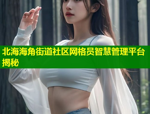 北海海角街道社区网格员智慧管理平台揭秘  第1张