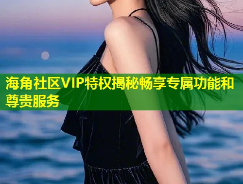 海角社区VIP特权揭秘畅享专属功能和尊贵服务  第2张