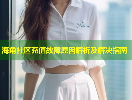 海角社区充值故障原因解析及解决指南  第1张