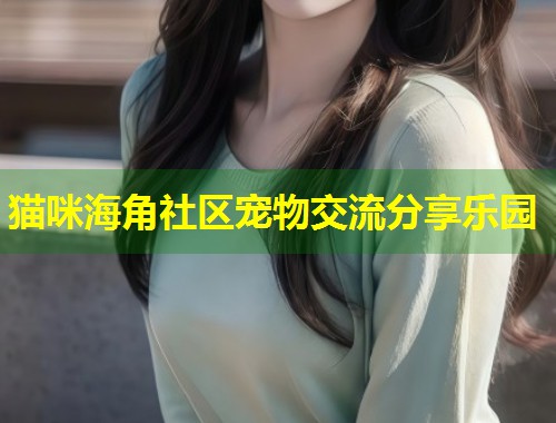 猫咪海角社区宠物交流分享乐园  第1张