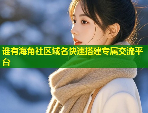 谁有海角社区域名快速搭建专属交流平台  第1张