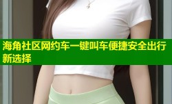 海角社区网约车一键叫车便捷安全出行新选择
