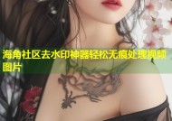 海角社区去水印神器轻松无痕处理视频图片