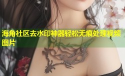 海角社区去水印神器轻松无痕处理视频图片