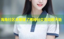 海角社区去哪里了揭秘社交互动新天地