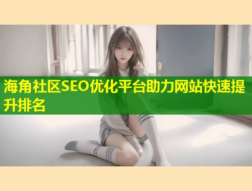 海角社区SEO优化平台助力网站快速提升排名  第2张