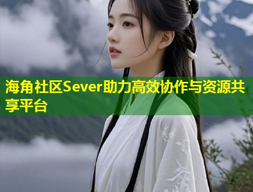 海角社区Sever助力高效协作与资源共享平台  第1张
